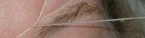 Threading_medium