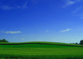 A8d8481d27410c37f4212fa04e008b4156eb9899_show