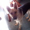 5c279acc18987da2ffc12e362e545e073b03e1b9_thumb