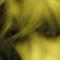 Fddedb8d9bd9f9649fbb1c7d913ea42bbc92dda2_thumb