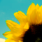 1530d0830b815553020b074f3bfcbd8c9324aee4_thumb