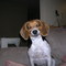 6ca53fed210eee2abc2d1840951cf4419553b3ae_thumb