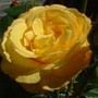 8d0f6ac17adba4cdf2be132a2f07374e628ffc62_large