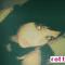 15bcaa4cb3c9d152c42babf14c19bc5229ff78bc_thumb