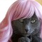 Kittywigs-1_thumb