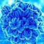 C12d6aa2e0287ced900a0a3634eee135e88524c7_large