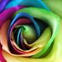 0bccbc8c728ca1c1b0c6e50f192fc94d1b34c902_large