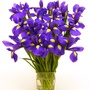 4ede3e5cd8a9c3a8da25b5caf5fee7a90717d1fd_large
