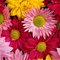 N580204676_720137_6648_thumb
