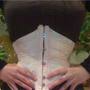 Corset_large