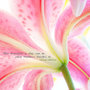 Quote-wallpaper77_large