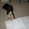 B3ba00d394cdf2a094bf6ad89416e95581f7c4bf_grid