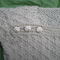 P9190010_grid