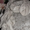 Dsc00529_grid