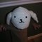 Bunny_hat_top_view_grid